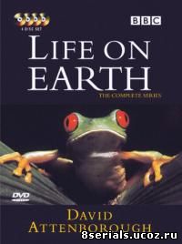 Жизнь на Земле (1979)