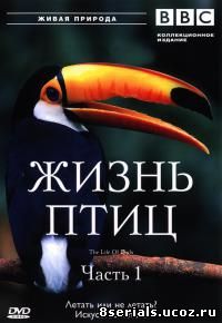 Жизнь птиц (1998)