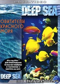 Обитатели Красного моря (2007)