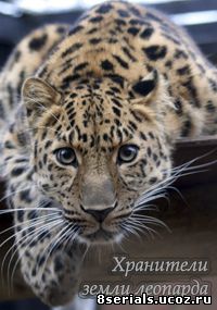 Хранители земли леопарда (2016)