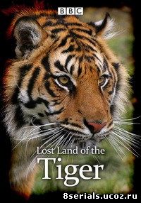 Экспедиция Тигр / В поисках последнего тигра (2010)