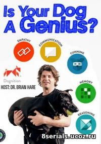 Насколько умна Ваша собака? (2014)