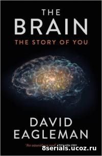 Мозг с Дэвидом Иглменом (2015)