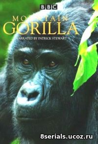 Горная горилла (2010)