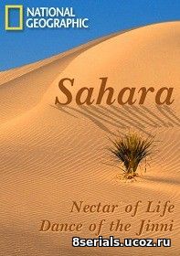 Сахара (2007)