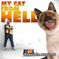 Адская кошка (2012) 2 сезон