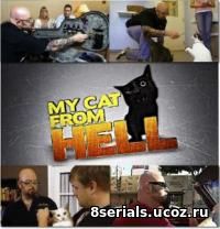 Адская кошка (2013) 4 сезон
