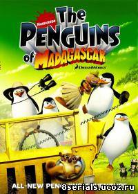 Пингвины из Мадагаскара 3 сезон
