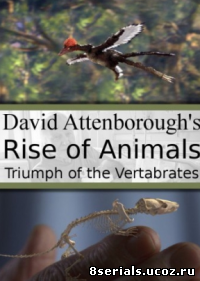 История животного мира с Дэвидом Аттенборо