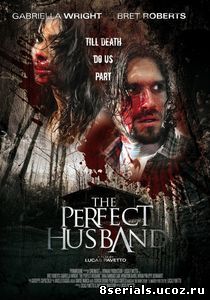 Идеальный муж (2014)