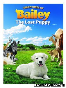 Приключения Бэйли: Потерянный щенок (2010)
