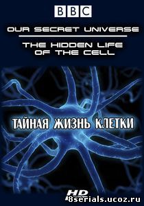Внутренняя вселенная: Тайная жизнь клетки (2012)