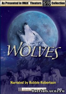 Волки (1999)